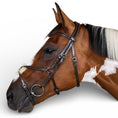 Load image into Gallery viewer, Dyon Figure 8 Noseband Jumper Bridle
