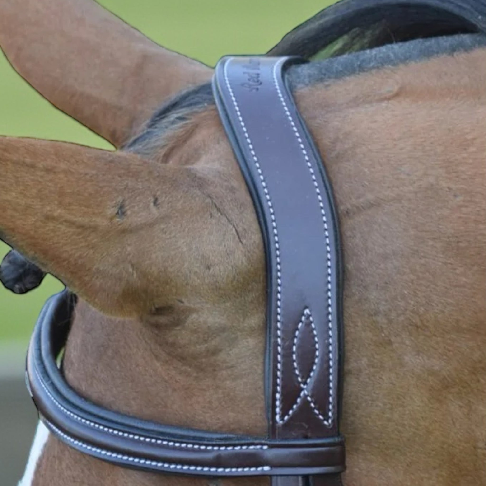 Red Barn by KL Select Ocala Hunter Bridle