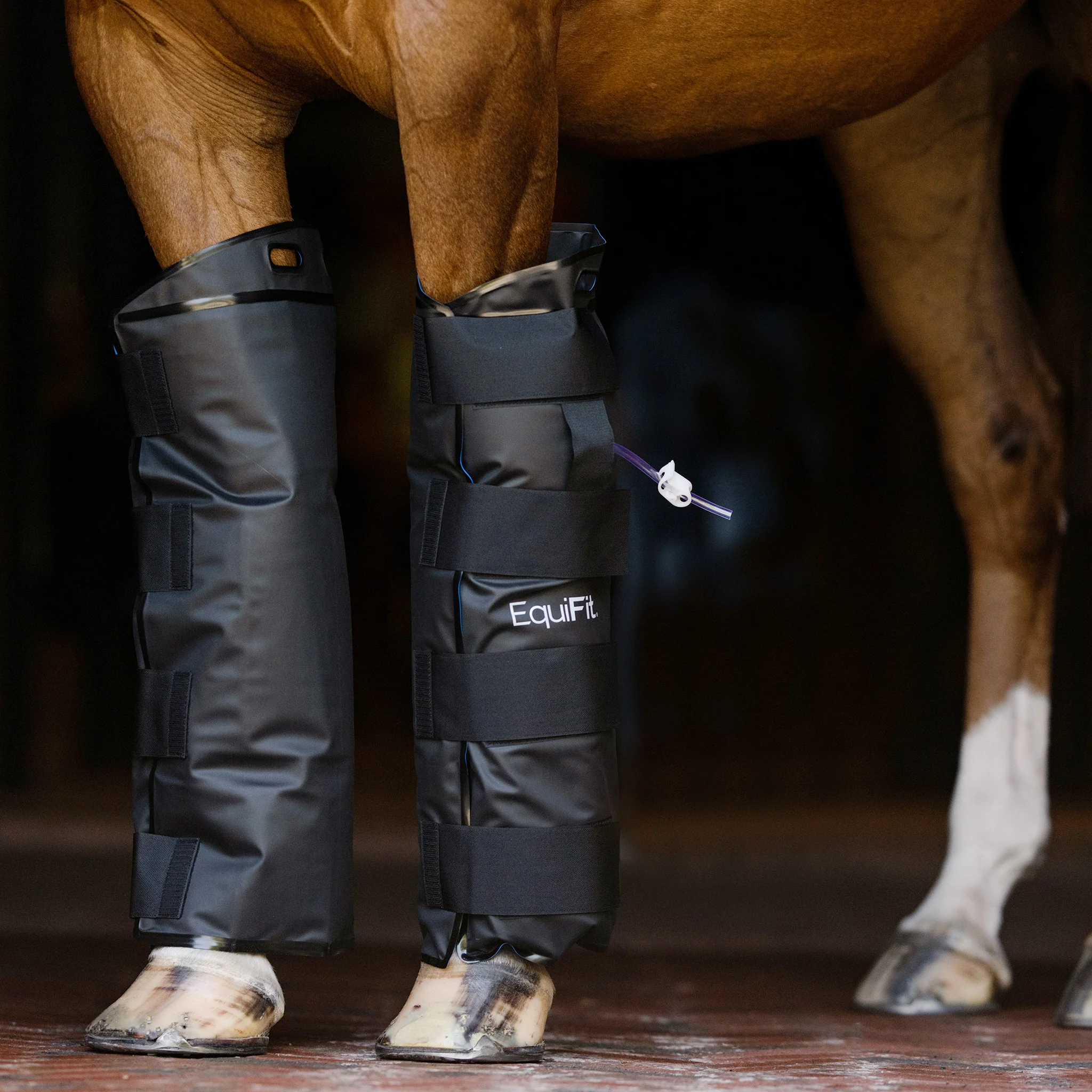 Equifit® IceAir™ Cold Therapy Boot