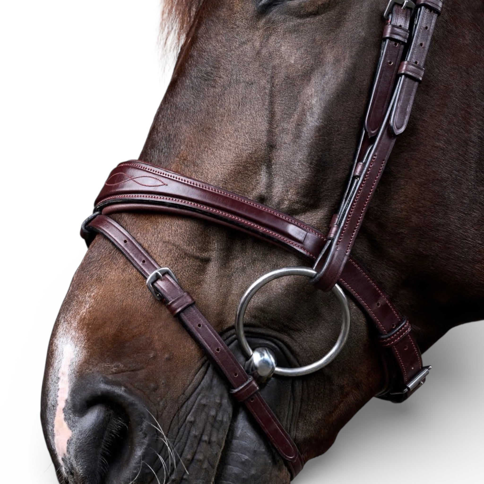 Dyon Anatomic Flash Noseband Bridle