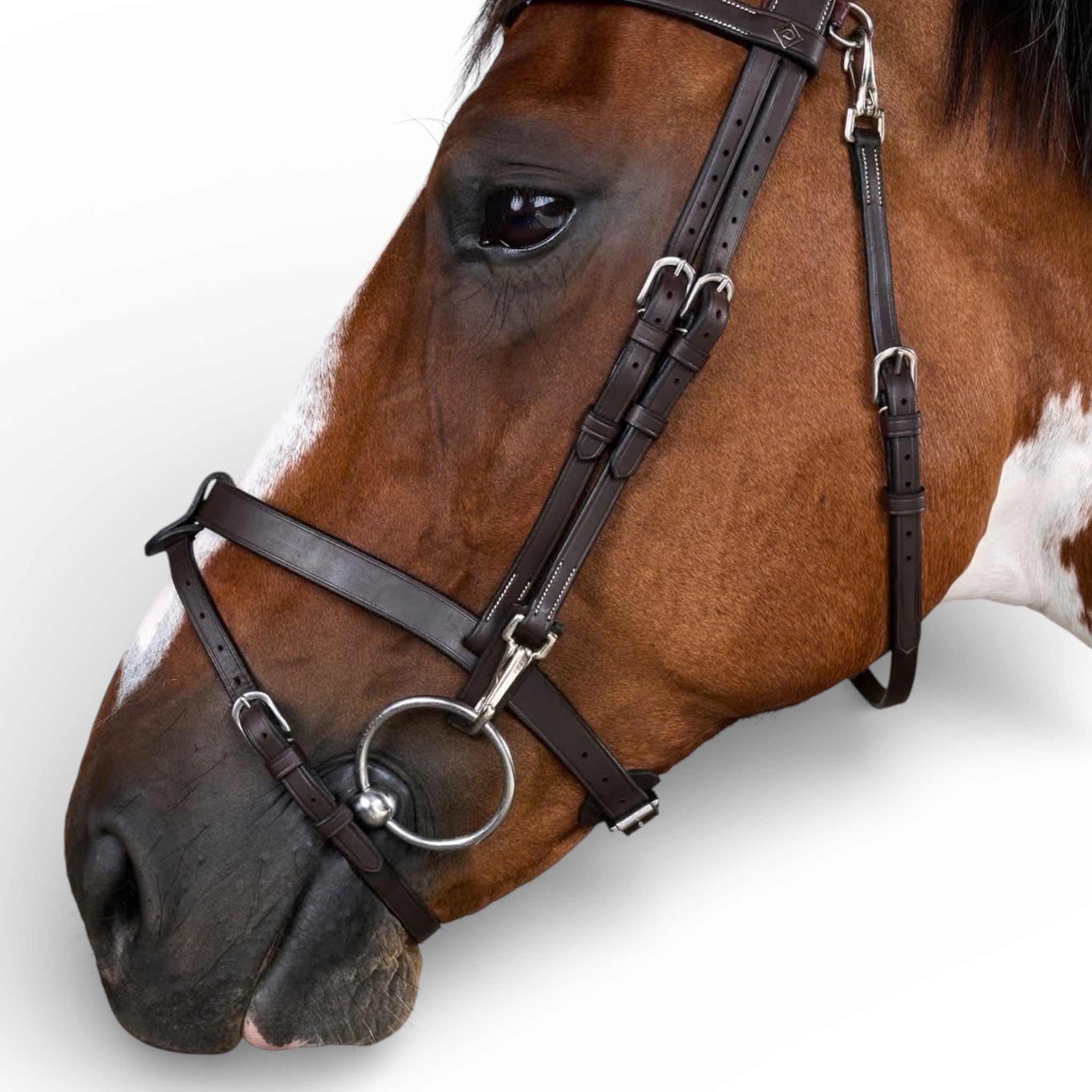 Dyon Flat Leather Bridle With Snap Hooks