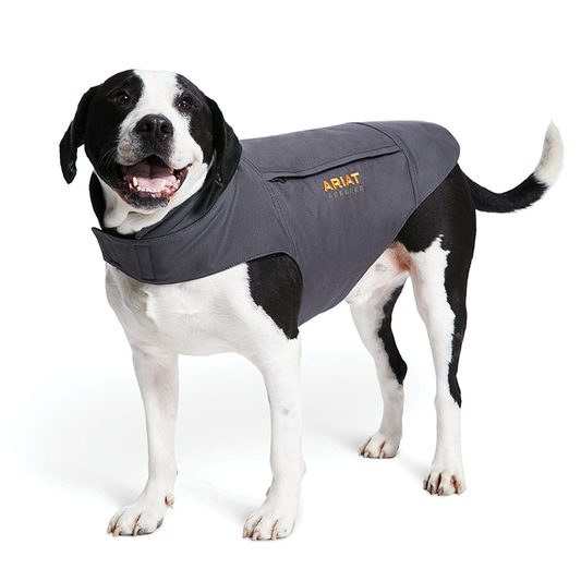 ARIAT® DuraCanvas Insulated Dog Jacket