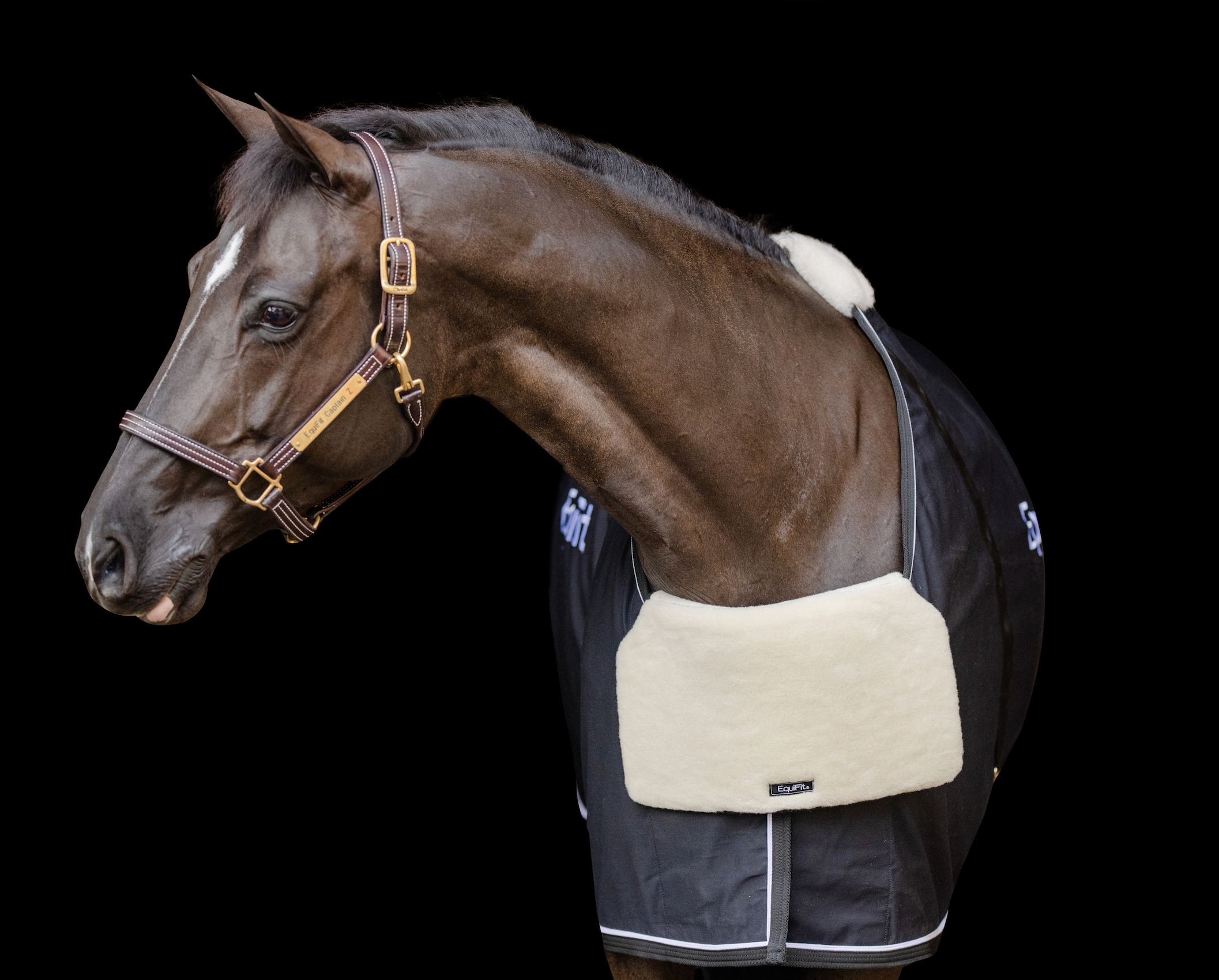 EquiFit® UltraWool™ BlanketBib™