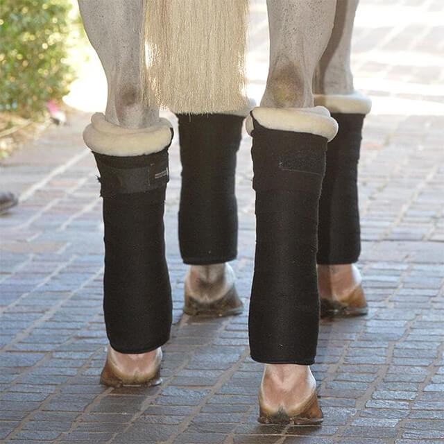 EquiFit® SheepsWool™ T-Foam™ Standing Wraps