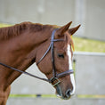 Load image into Gallery viewer, Red Barn by KL Select Ocala Hunter Bridle
