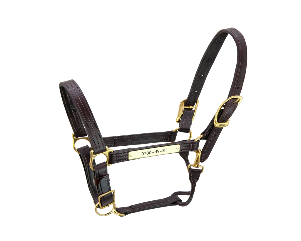 Walsh Kentucky Halter