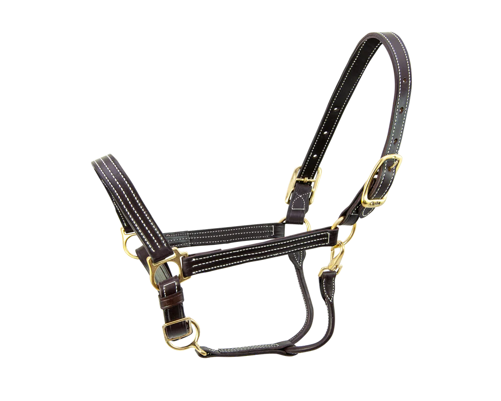 Walsh Kentucky Halter