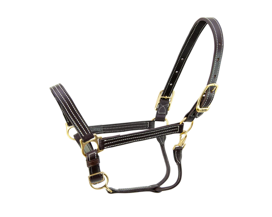 Walsh Kentucky Halter
