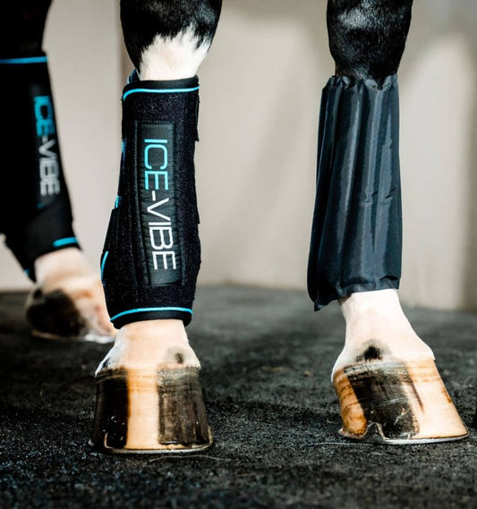 Horseware Ireland Ice-Vibe by HW Boot LED