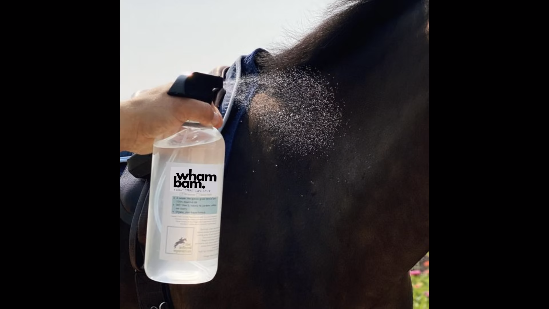 The Infused Equestrian Wham Bam. A Coat Spray Repellent