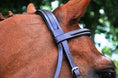 Load image into Gallery viewer, Black Oak Aster Hunter Bridle
