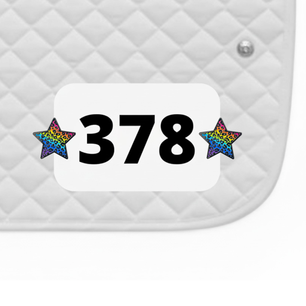 Rainbow Cheetah Number Pin Charms by Dubois Cheval