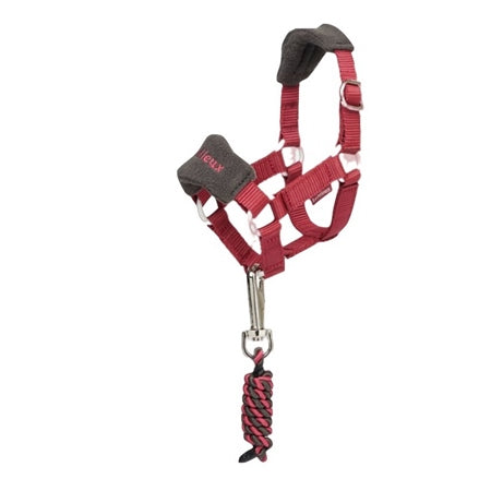 LeMieux® Toy Pony Vogue Headcollar