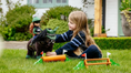 Load image into Gallery viewer, LeMieux® Toy Pony XC Jump Set Multi
