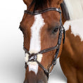 Load image into Gallery viewer, Dyon Figure 8 Noseband Jumper Bridle
