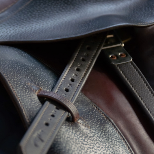 Dyon Premium Soft Leather Stirrup Strap
