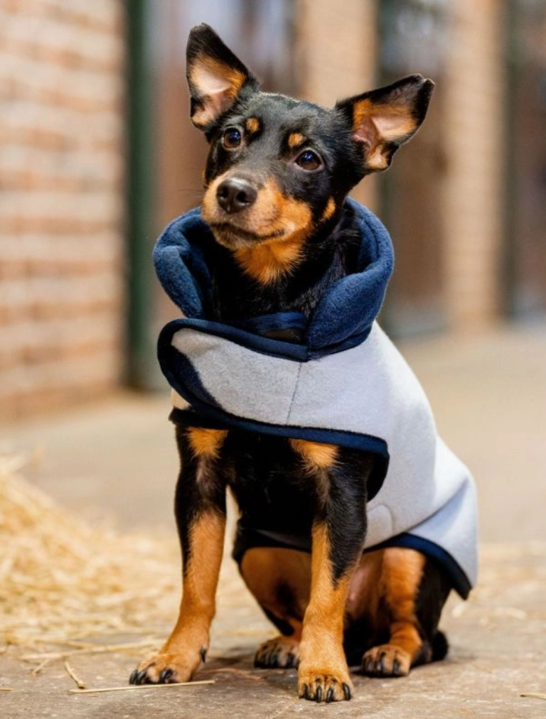 Horseware Signature Dog Fleece (No Fill)