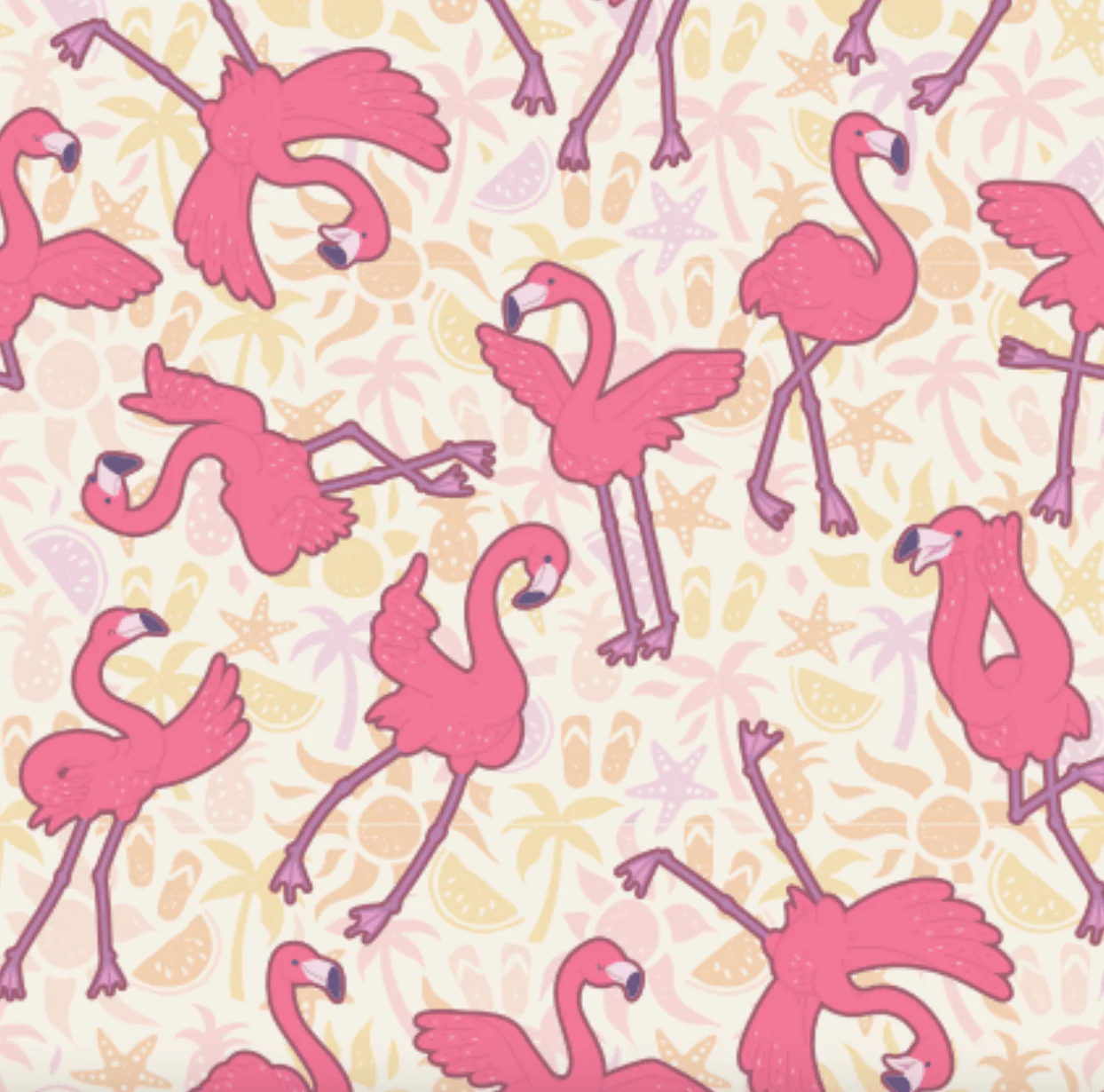 Flamingo Dance - Dreamers & Schemers Pair & A Spare Socks