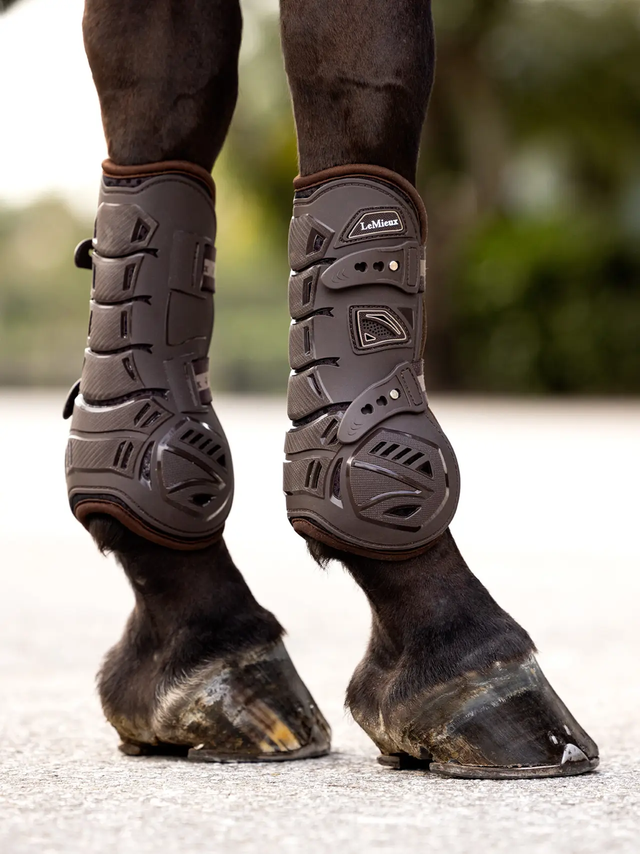 LeMieux® Motion Cool Tendon Boot – Alorian Saddlery