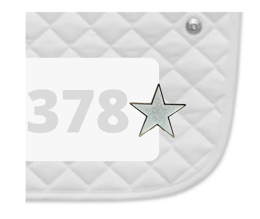 Dubois Cheval Number Pin Charms - Shining Star