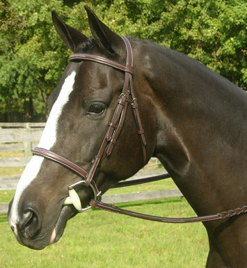 Red Barn by KL Select Sovereign Hunter Bridle