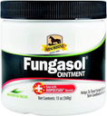 Load image into Gallery viewer, Absorbine Fungasol Fungal Treatment Horse Ointment, 13-oz tub

