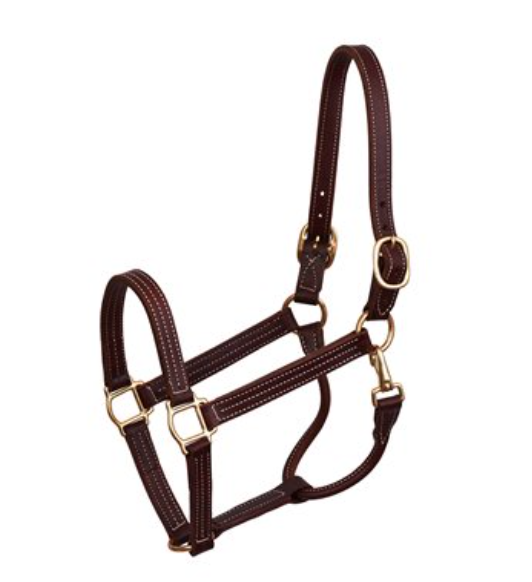 Perri's Professional Show Halter 1"