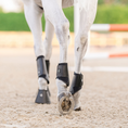 Load image into Gallery viewer, EquiFit® Essential® EveryDay™ Hind Boot
