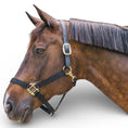 Load image into Gallery viewer, Kentucky Horsewear Nylon Halter Breakaway
